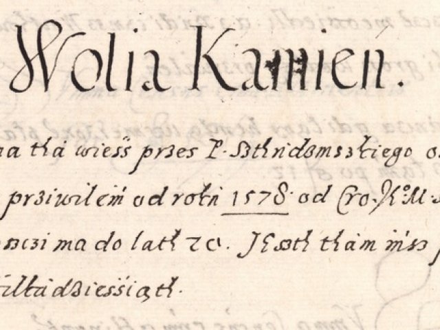 wola kamien 1